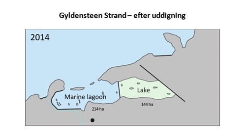Gyldensteen efter uddigning