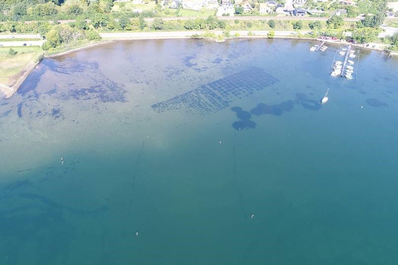 Sund Vejle Fjord