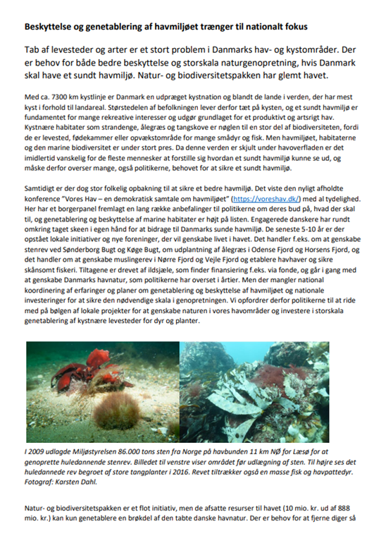 Artikel om beskyttelse og genetablering af havmiljøet