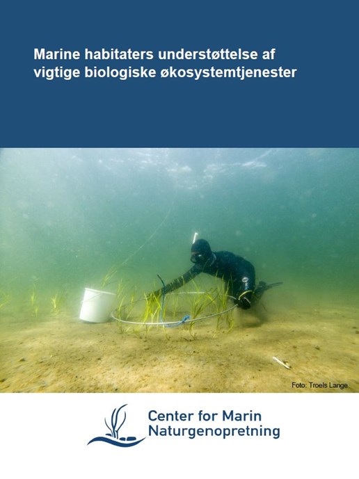 Rapport om Marine habitaters økosystemtjenester