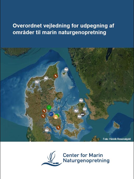 Rapport om Marine habitaters økosystemtjenester